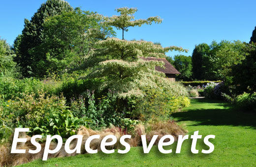 Espaces Verts Anne & Faye Motoculture - Lisieux - Pont-l'Evêque - Orbec - Pont-Audemer